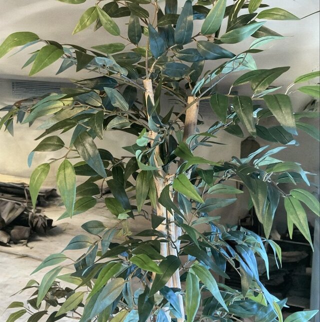 光触媒　人工観葉植物　フェイクグリーン　イタリアンベンジャミン17575 光触媒 人工観葉植物 ウォールグリーン フェイクグリーン