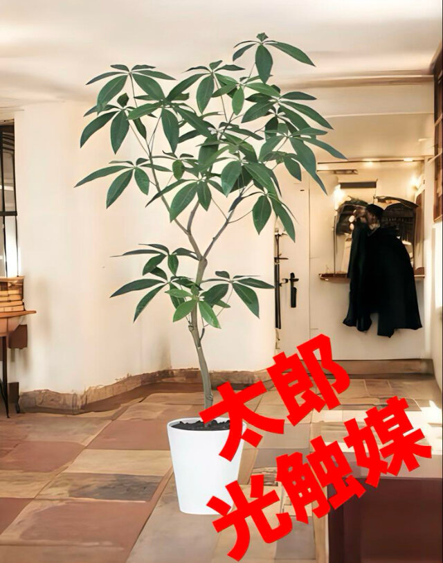 光触媒　人工観葉植物　ウォールグリーン　フェイクグリーン　パキラ120FST