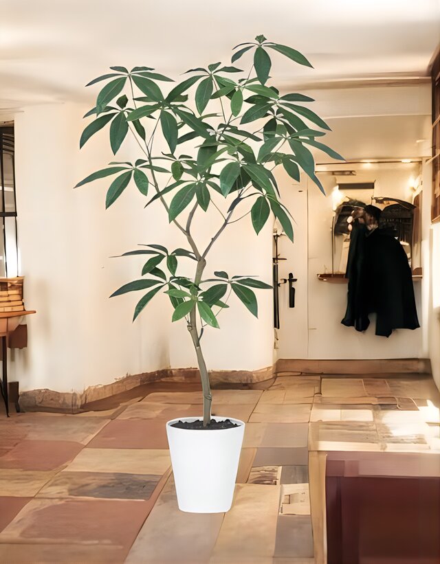 光触媒　人工観葉植物　ウォールグリーン　フェイクグリーン　パキラ120FST 光触媒 人工観葉植物 ウォールグリーン フェイクグリーン パキラ