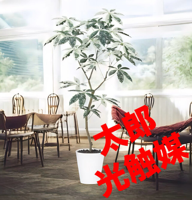 光触媒　人工観葉植物　ウォールグリーン　フェイクグリーン　パキラミルキーウェイ120FST