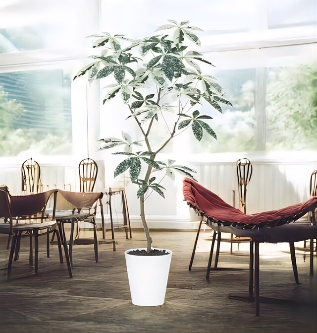 光触媒 人工観葉植物 ウォールグリーン フェイクグリーン パキラ 光触媒 人工観葉植物 ウォールグリーン フェイクグリーン パキラ
