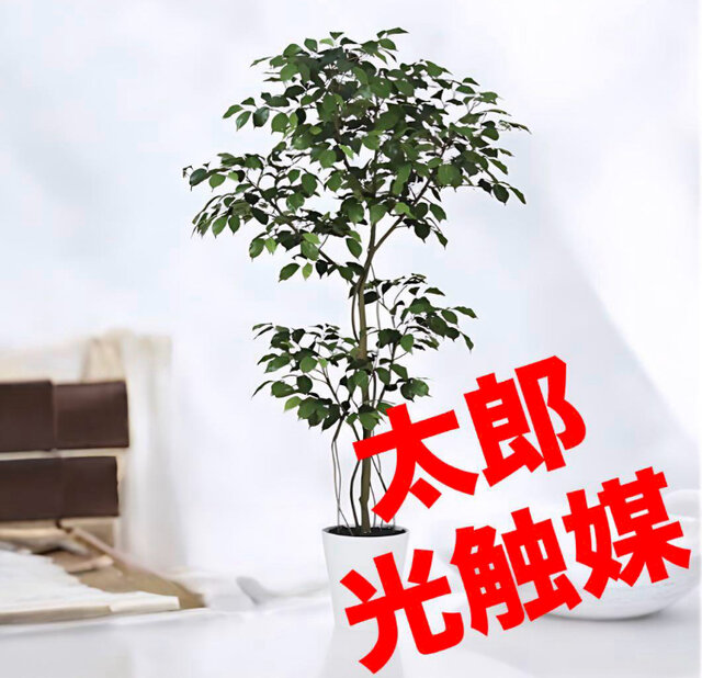 光触媒　人工観葉植物　フェイクグリーン　ベンジャミン150FST 光触媒 人工観葉植物 ウォールグリーン フェイクグリーン ベンジャミン