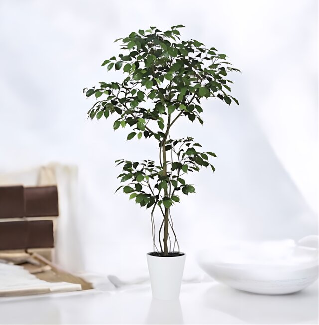 光触媒　人工観葉植物　フェイクグリーン　ベンジャミン150FST 光触媒 人工観葉植物 ウォールグリーン フェイクグリーン ベンジャミン