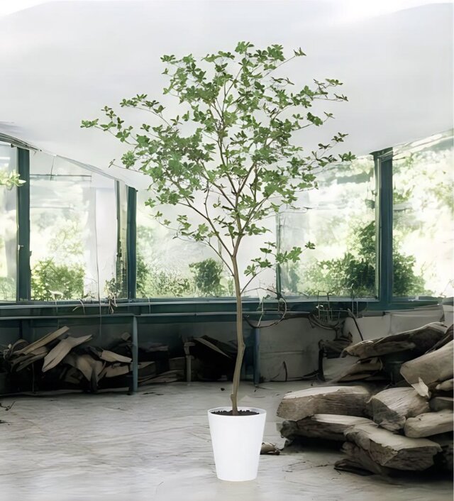 光触媒 人工観葉植物 ウォールグリーン フェイクグリーン