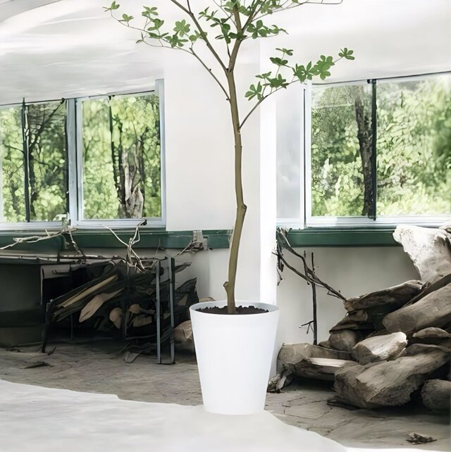 光触媒 人工観葉植物 ウォールグリーン フェイクグリーン