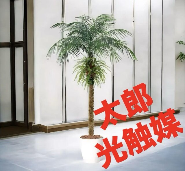光触媒　人工観葉植物　フェイクグリーン　フェニックス・ロベレニー PLUS 光触媒 人工観葉植物 フェイクグリーン フェニックス