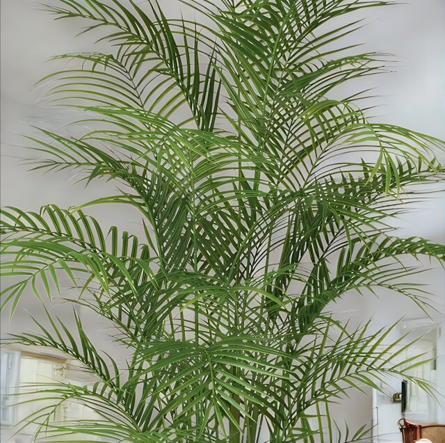 光触媒　人工観葉植物　ウォール　グリーン　フェイクグリーン　アレカヤシ85白12 Amazon.co.jp: 光触媒 人工観葉植物 ウォールグリーン フェイク