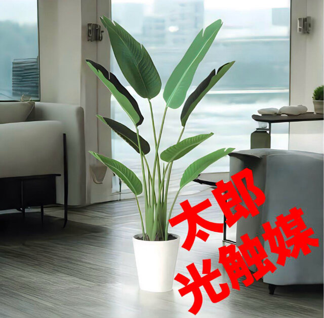 光触媒 人工観葉植物 ウォールグリーン フェイクグリーン オーガスタ