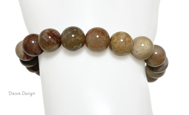 フォッシル コーラル ブレスレット さんご 化石 3月誕生石 レア