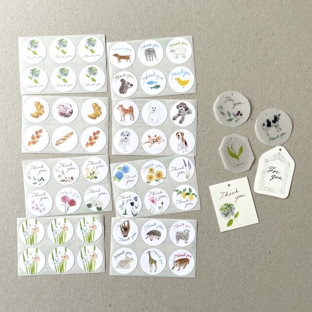 夏のいろいろ紙ものセット | iichi 日々の暮らしを心地よくする