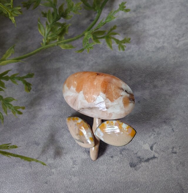 ちっちゃな ミカン花