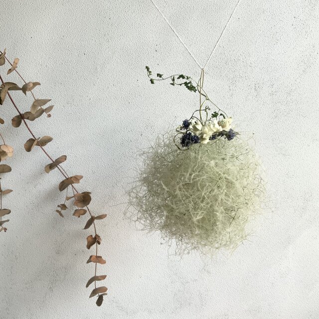 ふわりきみどりスモークツリー　ボール