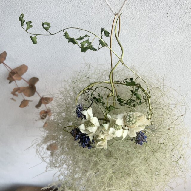 スモークツリーボールフライングリースきみどり