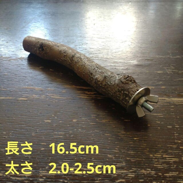 止まり木 kamiru 止まり木（枝：TOY-08-015）T512 | iichi 日々の暮らしを心地よくする