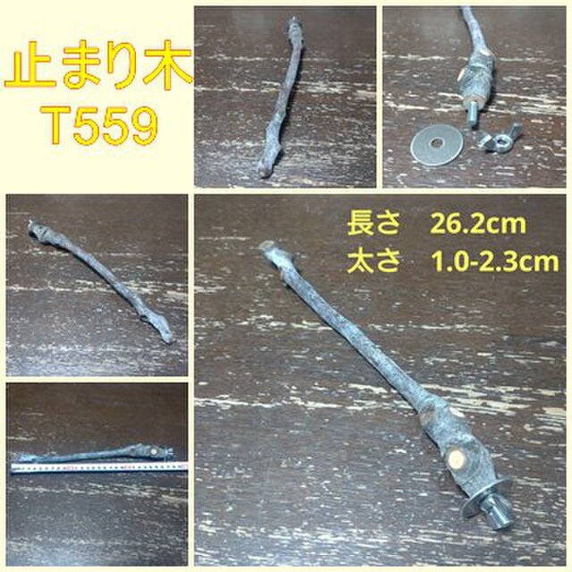 止まり木（枝：TOY-08-015）T559