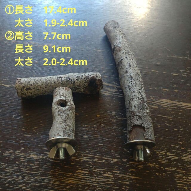 止まり木セット（枝：TOY-08-015、TOY-23-004）T520 | iichi 日々の
