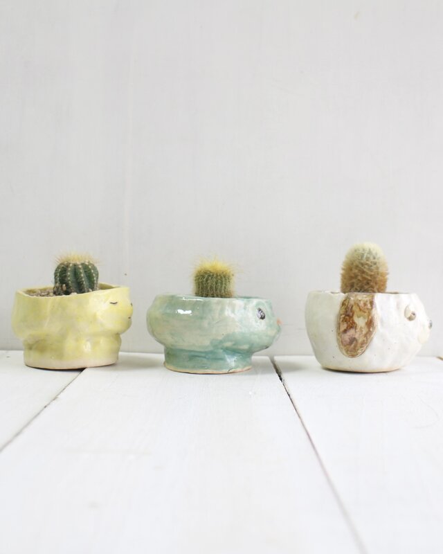 かっぱちゃん 植木鉢 | iichi 日々の暮らしを心地よくするハンドメイド