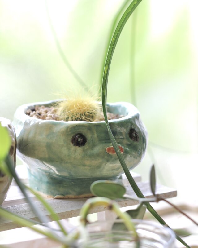 かっぱちゃん 植木鉢