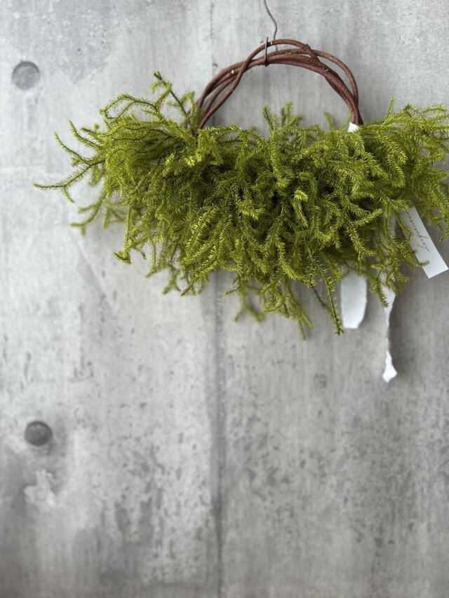 W25036 ヒカゲノカズラのプリザーブドフラワーリース