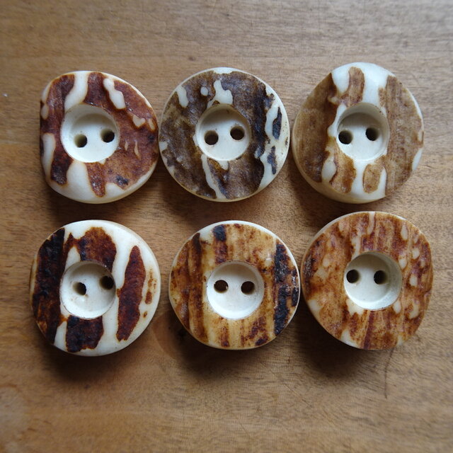 日本の鹿の角ボタン６個セット20㎜L