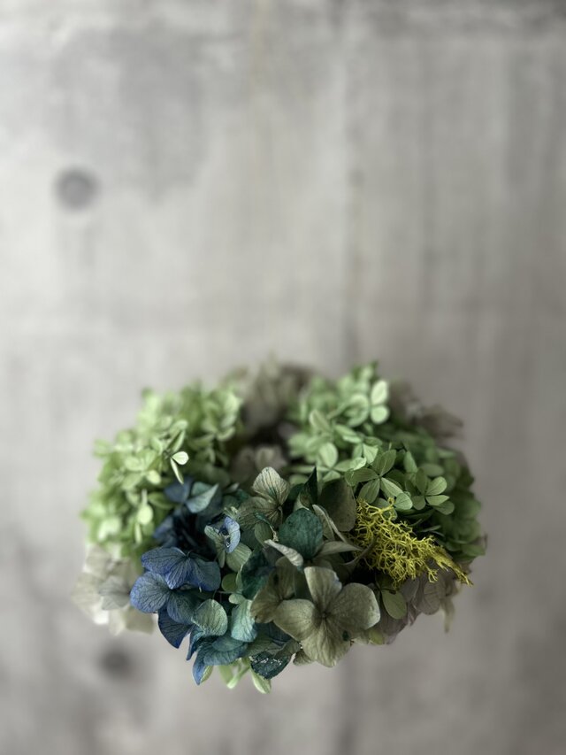 W25054 アジサイ3種とモスのフライングリース