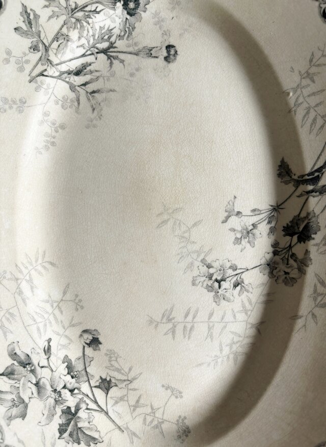 Choisy le roi ショワジールロワ オーバル皿 楕円皿 30.3cm フランス