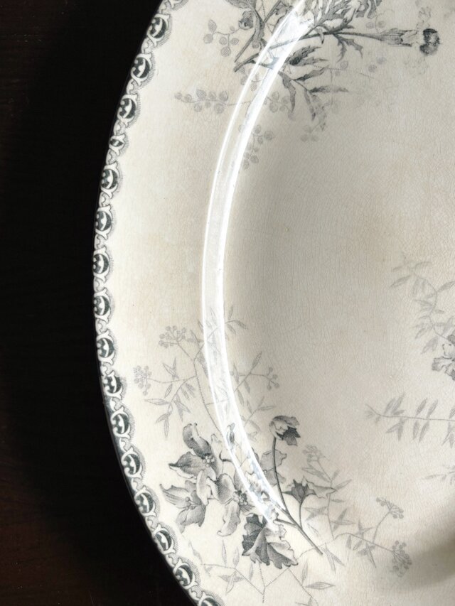 Choisy le roi ショワジールロワ オーバル皿 楕円皿 30.3cm フランス