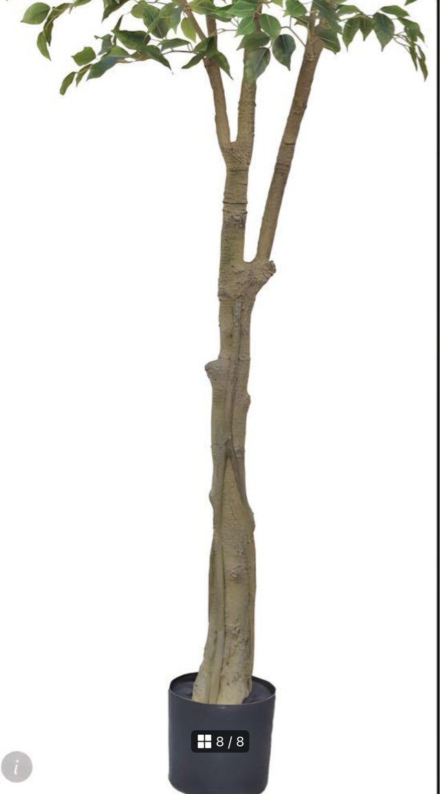 光触媒 人工観葉植物 ウォールグリーン フェイクグリーン ベンジャミン