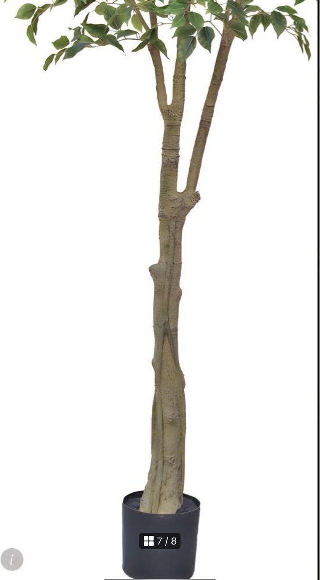 光触媒　人工観葉植物　ウォールグリーン　フェイクグリーン　ベンジャミン240 光触媒 人工観葉植物 ウォールグリーン フェイクグリーン ベンジャミン