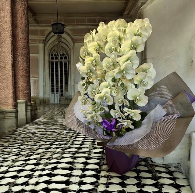 光触媒 人工観葉植物 ウォールグリーン フェイクグリーン リアル胡蝶蘭