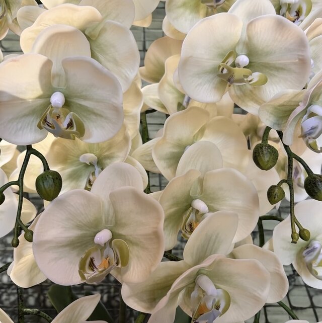 光触媒 人工観葉植物 ウォールグリーン フェイクグリーン リアル胡蝶蘭