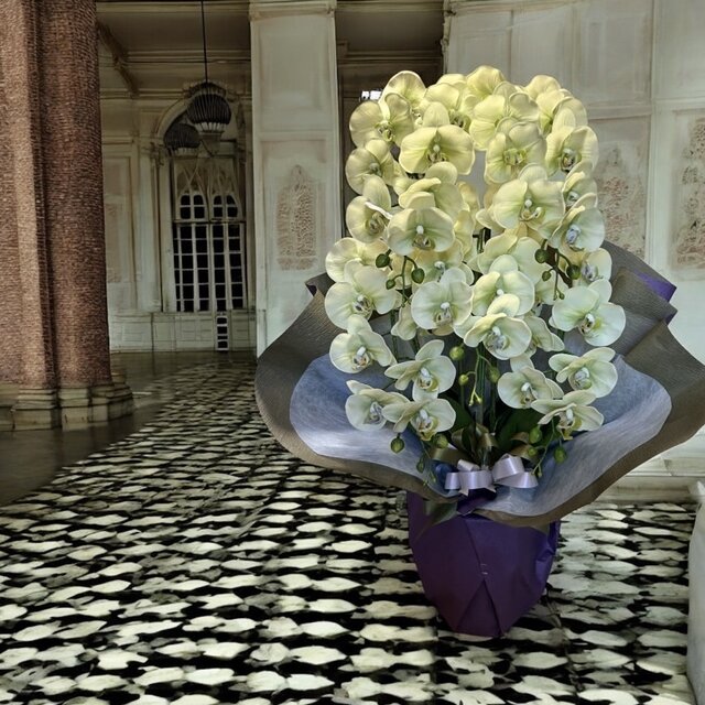 光触媒 人工観葉植物 ウォールグリーン フェイクグリーン リアル胡蝶蘭