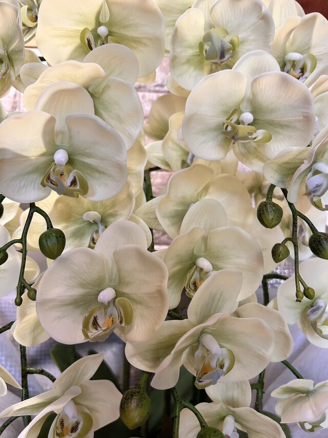 光触媒 人工観葉植物 ウォールグリーン フェイクグリーン リアル胡蝶蘭