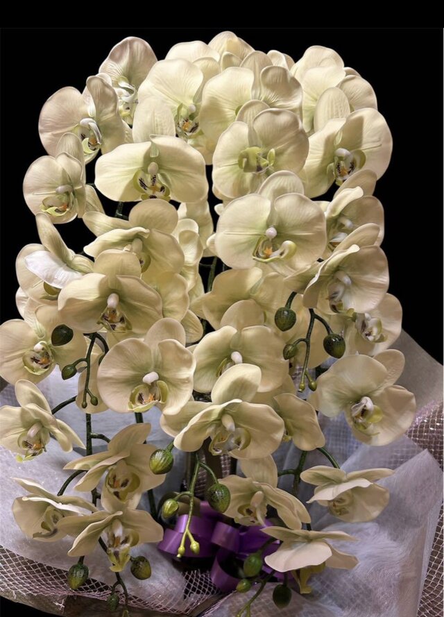 光触媒 人工観葉植物 ウォールグリーン フェイクグリーン リアル胡蝶蘭