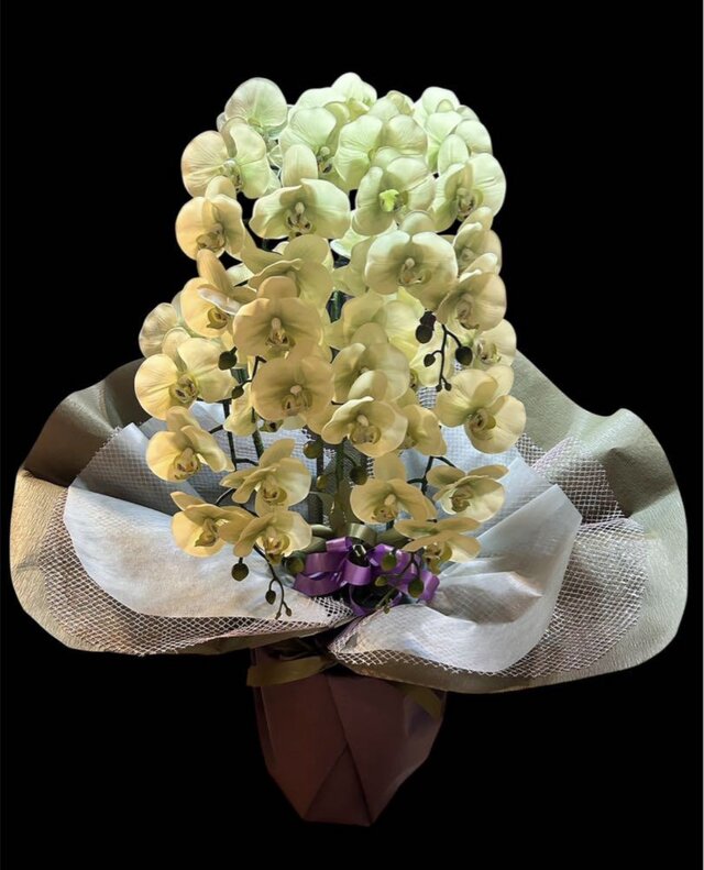 光触媒　人工観葉植物　ウォールグリーン　フェイクグリーン　リアル胡蝶蘭アレンジ! 光触媒 人工観葉植物 ウォールグリーン フェイクグリーン リアル胡蝶蘭