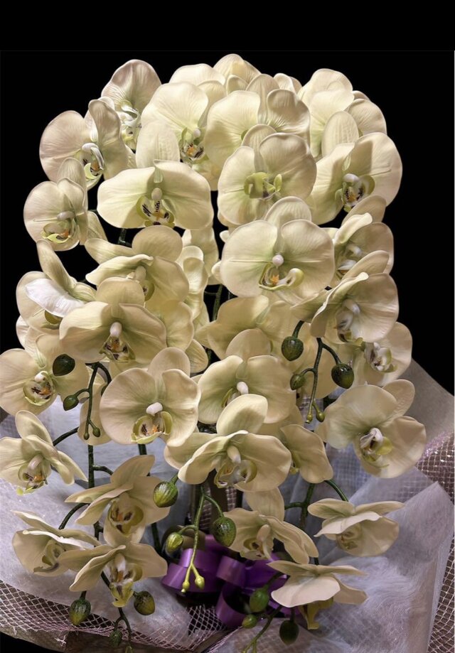 光触媒 人工観葉植物 ウォールグリーン フェイクグリーン リアル胡蝶蘭