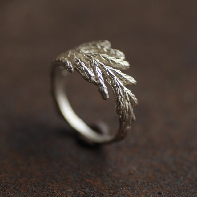 糸杉の葉のリング