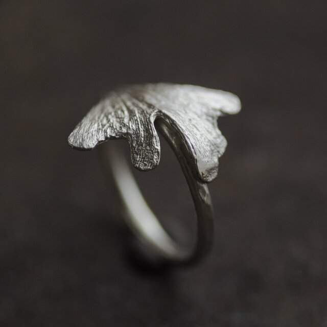 イチョウのリング