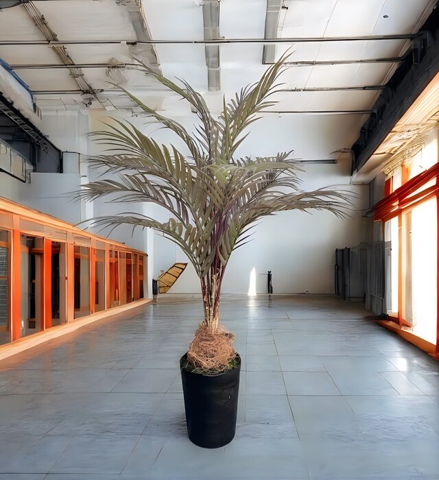 光触媒 人工観葉植物 ウォールグリーン フェイクグリーン アレカヤシ茶