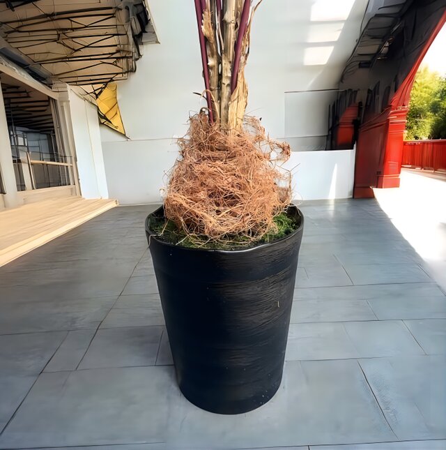 光触媒 人工観葉植物 ウォールグリーン フェイクグリーン アレカヤシ茶