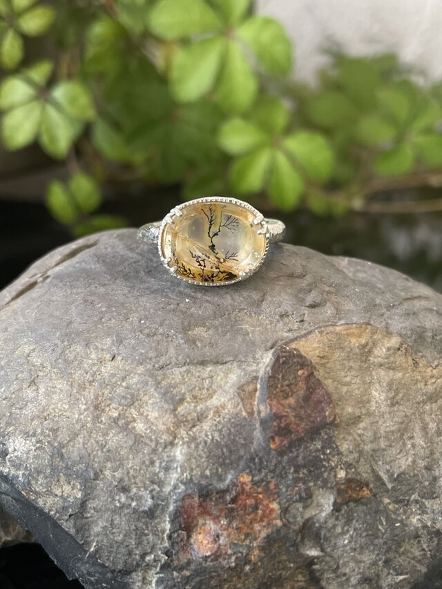 伸びやかな光景