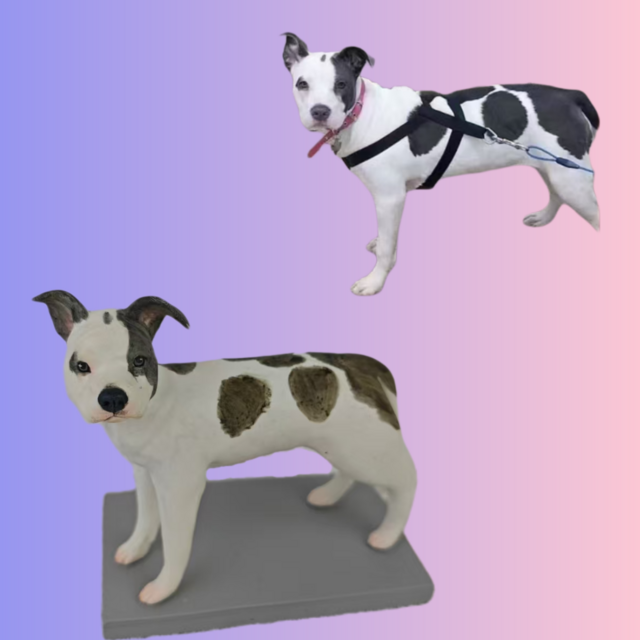 フィギュア 制作 写真入りフィギュア 写真からフィギュア ペット、 3d フィギュア、愛犬 うちの子 人形 オーダーメイド