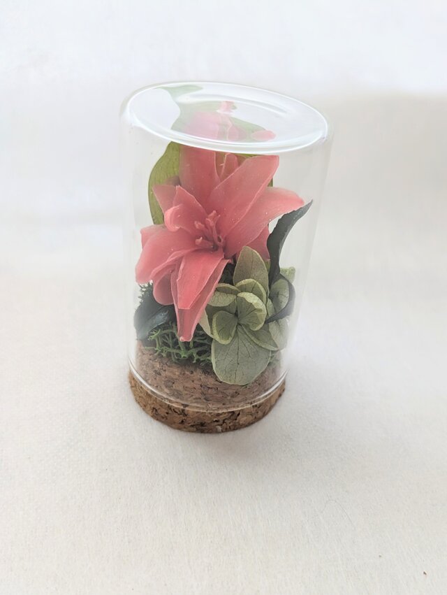 ハンドメイド ガラスボトル ミニチュアの家と植物 フィリピン セブ島