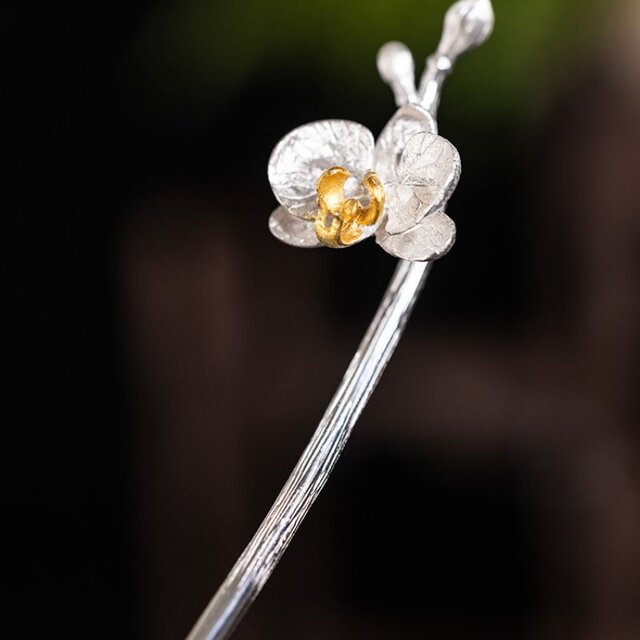 か*か様 胡蝶蘭(琴！) か*か様 胡蝶蘭(琴！) か*か様 胡蝶蘭(琴！) 祝花】