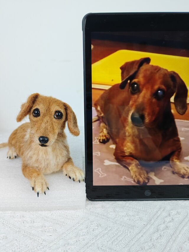 【オーダーメイド ペット】 羊毛 フェルト 犬 オーダー ペット ダックスフント うちの子、ペット似顔絵、犬 猫 人形