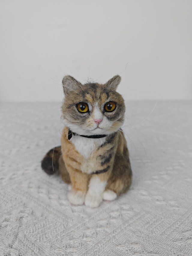 羊毛フェルト猫 71rUt03AvdL._UF894,1000_QL80_.jpg