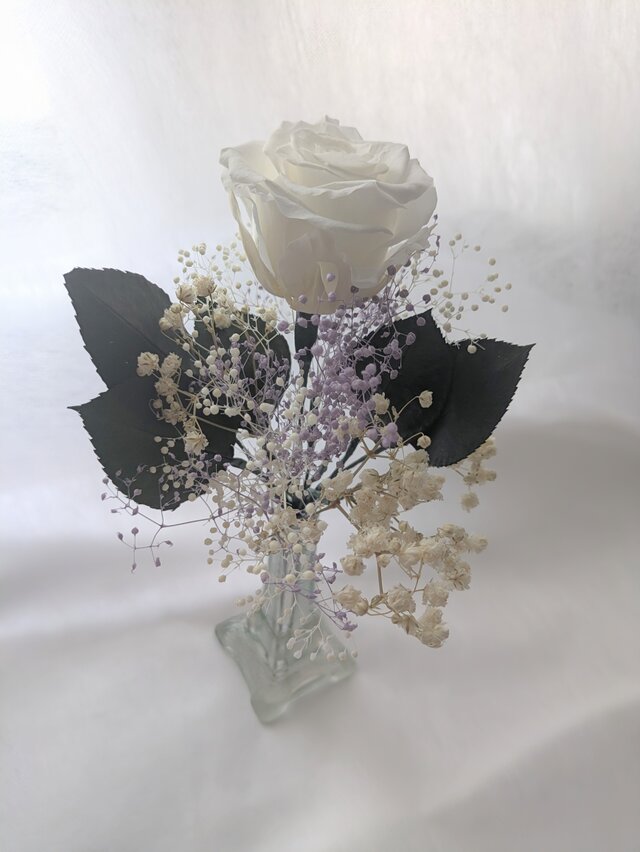 プリザーブドフラワーの花束 ♬ 大輪バラ 白 ☆ プリザーブドフラワー白い大輪の薔薇5本のふんわり花束ラッピング | 世都華
