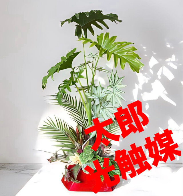 光触媒 人工観葉植物 ウォールグリーン フェイクグリーン