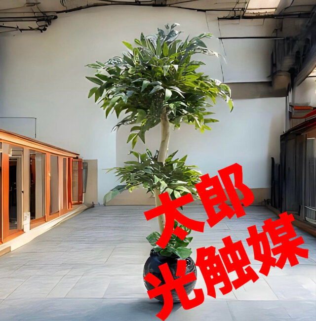 光触媒　人工観葉植物　ウォールグリーン　フェイクグリーン　イタリアンベンジャミン12566