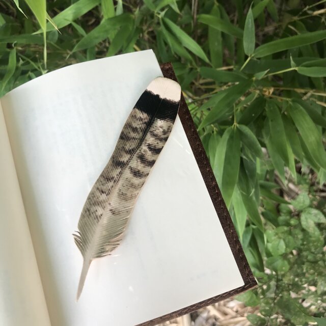 本革 ライチョウ　鳥　羽根 ブックマーク
